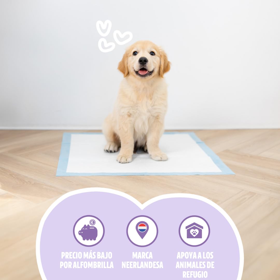 Empapadores de Adiestramiento para Cachorros y Perros Desechables – Tapetes Educativos con Carbón Activo – Súper Absorbentes & Antifugas – Control de Olores – 58x58cm – Pack 250 Unidades