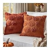 2er Set Herbst Winter Kissenbezüge 45x45 cm Dekora...