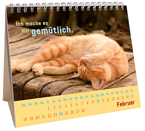 Für kleine Katzenfans 2019: Mini-Monatskalender