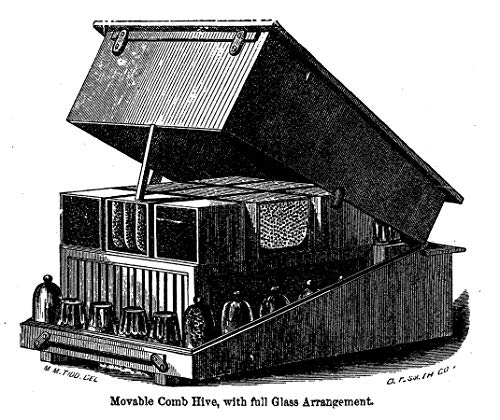 Langstroth's Hive And The Honey-Bee: The Classic Beekeeper's Manual #TOP2