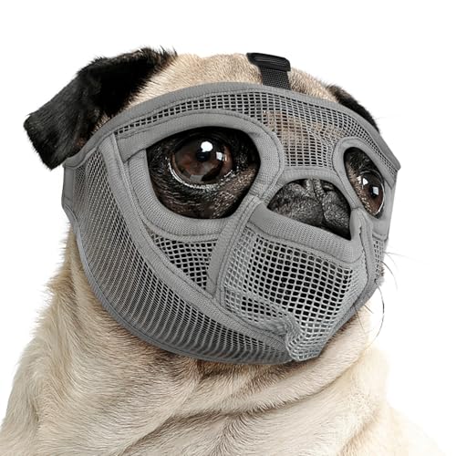Image of Mayerzon Pug Muzzle