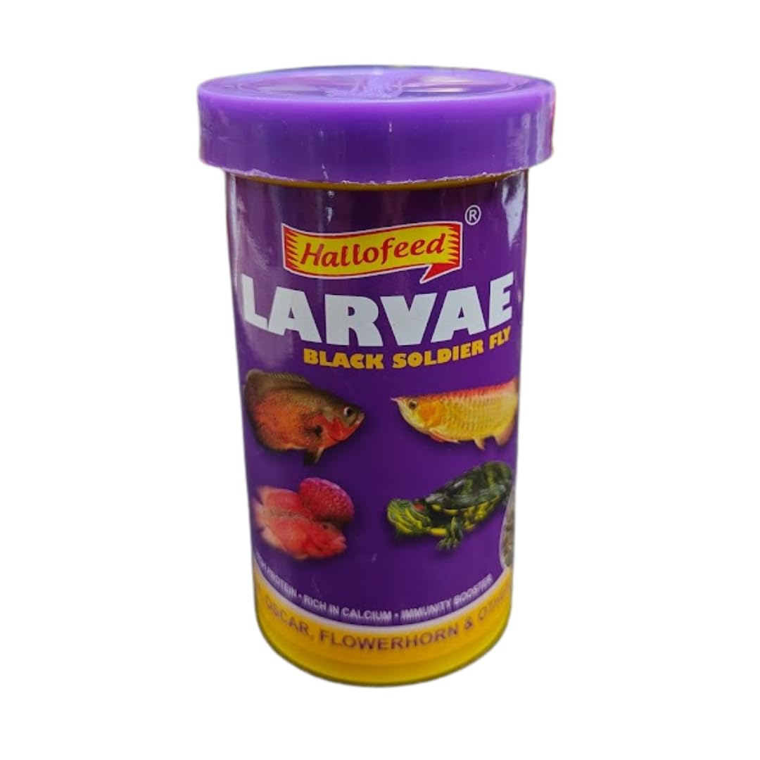 Hallofeed Black Soldier Fly Larvae 20g - High-Protein Fish Food (1) - Pack of 1