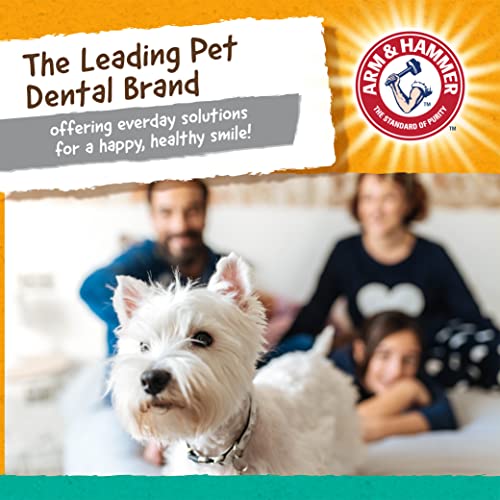 Arm & Hammer Super Treadz Gorilla Dental Dog Chew Toy, Large - image 7