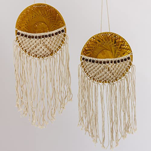 PLANTORI Set of 2 Hanging Planters for Living Room | Indoor Plant Pots and Planters for Home | Beautiful Flower Pots | Hanging Basket Diameter - 9 inches