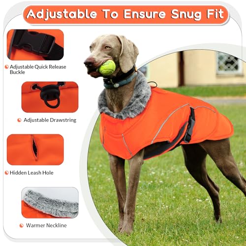 Wasserdichter Hundemantel, Winter Warme Hundejacke Winddicht Hundepullover Outdoor Hundemantel Bekleidung mit Sicheren Reflexstreifen(Orange, L)