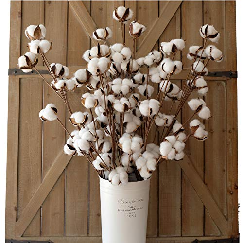 idyllic Cotton Stems Decor Branches Cotton Flowers Plants for Decorations Dried Flowers for Vase 6 Pcs-31 Inches Tall - 12 Bolls per Stem