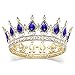 Foyte Baroque Queen Crown and Tiaras Sparkly Rhinestone Wedding Crown Bride Tiaras Royal Princess Full Tiaras Headpieces for Women and Girls (Blue)