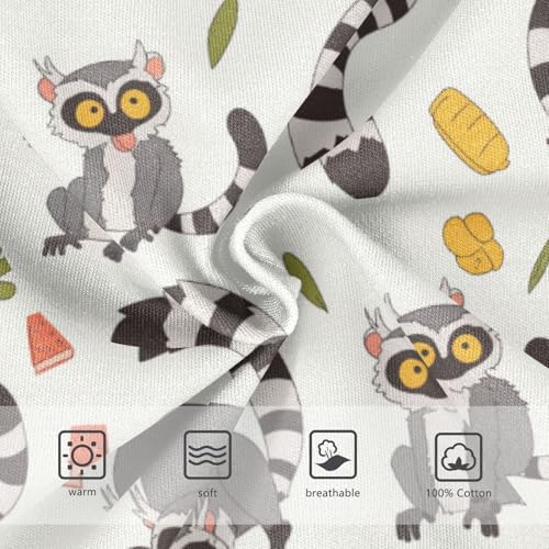 Wusikd Cute Lemur Print Boys' Underwear Cotton Boys Briefs Soft Toddler Underwear 2T3