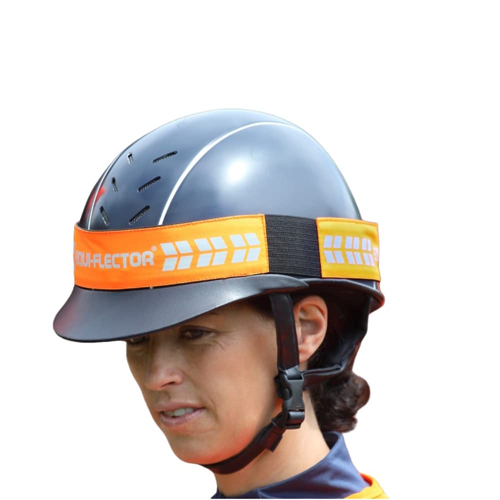 View 6