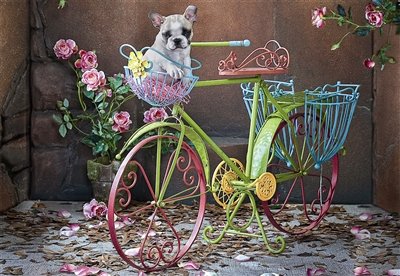 Preisvergleich Produktbild Educa 15964 - Easy Rider, 500 Teile Puzzle