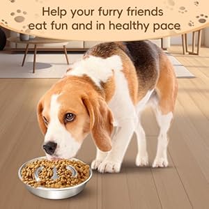 Stainless Steel Dog Slow Feeder Bowl  Metal Pet Food Bowl for Healthy Eating  Nonslip Easytoclean Heavyduty Slow Feeding Bowl for Large Medium Dogs Suitable for Wet and Dry Food  Cucciolini Doodles Stainless steel dog slow feeder bowl  metal pet food bowl for healthy eating  non slip easy to clean heavy duty slow feeding bowl for large medium dogs suitable for wet and dry food   cucciolini doodles