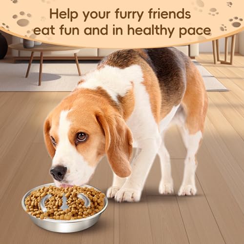 Stainless Steel Dog Slow Feeder Bowl  Metal Pet Food Bowl for Healthy Eating  Nonslip Easytoclean Heavyduty Slow Feeding Bowl for Large Medium Dogs Suitable for Wet and Dry Food  Cucciolini Doodles Stainless steel dog slow feeder bowl  metal pet food bowl for healthy eating  non slip easy to clean heavy duty slow feeding bowl for large medium dogs suitable for wet and dry food   cucciolini doodles