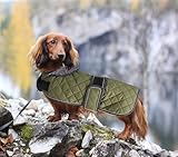 MOREZI Hundemantel Winter für Dackel - Wasserdichter Hunde Pullover mit Wolle Futter & Verstellbaren Gurten, Warmer Wintermantel für Kleine Hunde im Freien-Grün-M