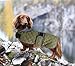 MOREZI Hundemantel Winter für Dackel - Wasserdichter Hunde Pullover mit Wolle Futter & Verstellbaren Gurten, Warmer Wintermantel für Kleine Hunde im Freien-Grün-M