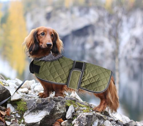 MOREZI Hundemantel Winter für Dackel - Wasserdichter Hunde Pullover mit Wolle Futter & Verstellbaren Gurten, Warmer Wintermantel für Kleine Hunde im Freien-Grün-M