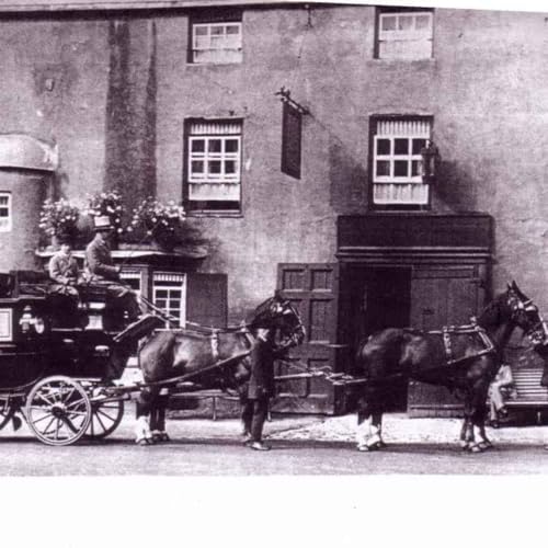 The Bull & The Beyond