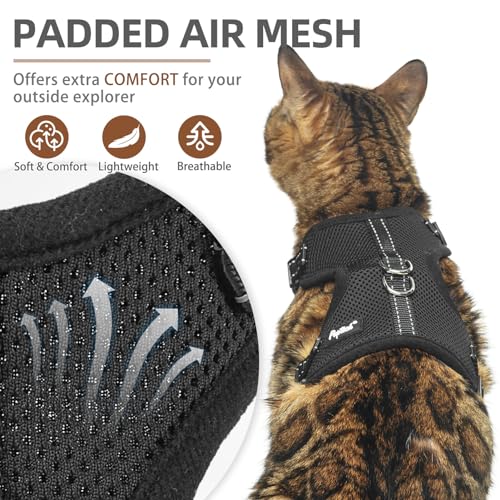 PUPTECK-Cat-Harness-and-Leash-Set-Escape-Proof-Reflective-Adjustable-Soft-Mesh-Kitten-Vest-Harness-for-Walking-Travel-Black-S
