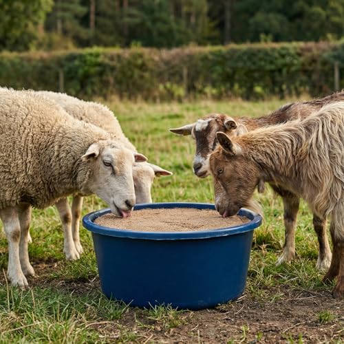 PANTO Mineralleckschale L92 10kg – Leckschale für Schafe, Ziegen und Schalenwild, Leckstein ohne Kupfer mit Selen und Zink