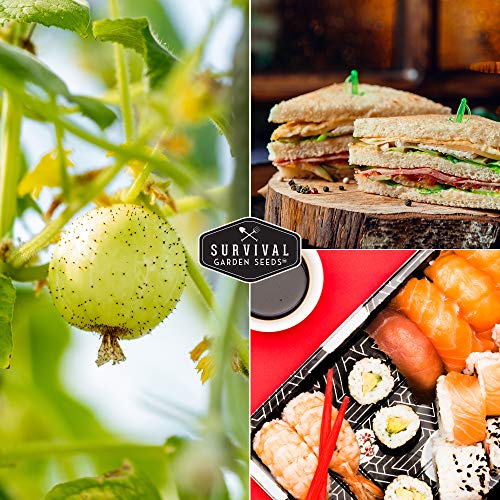 Survival Garden Seeds - Lemon Cucumber Seed For Planting - Packet With Instructions To Plant And Grow Little Yellow Cucumbers In Your Home Vegetable Garden - Non-Gmo Heirloom Variety #TOP4