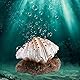 Zerodis Aquarium Shell Ornament, Harz Aquarium Shell Pearl Bubbler Korallenriff Belüftungsaktion Landschaft Künstliche Aquarium Dekoration
