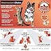 Best Paw Nutrition Pure Wild Alaskan Salmon Oil for Dogs & Cats Allergy, Dry Itchy Skin, Hotspots, & Joint Pain Relief 1000mg Softgels