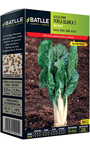 Semillas Hortícolas - Acelga verde de penca blanca 3 sel. Pencosa 100g - Batlle