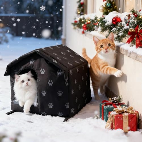 Abri pour chat pour l'extérieur résistant aux intempéries et au vent