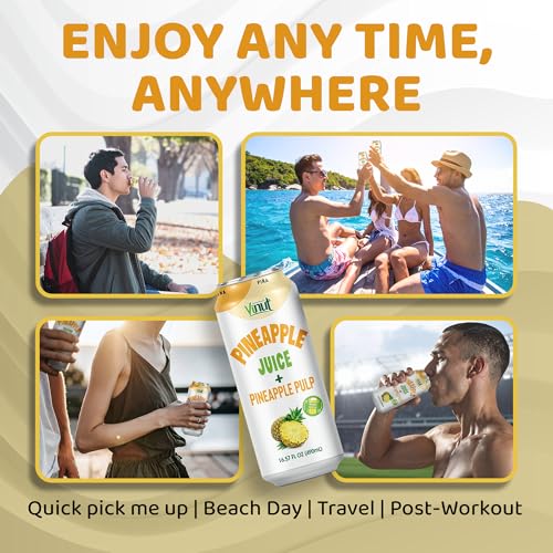 Image of Vinut Natural Pineapple Juice Drink with Pulp, (16.57 fl oz, Pack of 6) - Real Pineapple Juice, No Sugar Added, Gluten Free, GMO-Free