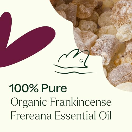 Aceite Esencial Orgánico de Incienso Frereana 30 mL miniatura 5