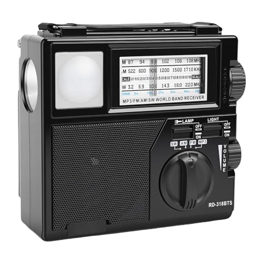 Radio AM FM portátil Bluetooth Diyeeni recargable