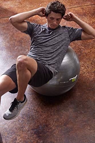 Gaiam-Restore-Self-Guided-Stability-Ball-65cm
