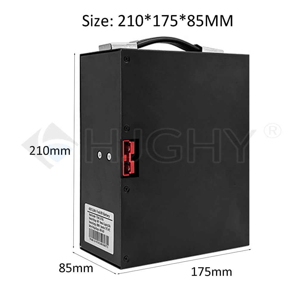 Batteria al Litio per Carrello elevatore Elettrico da 48 V 10 Ah 15 Ah 20 Ah 30 Ah, Batteria per transpallet da 48 Volt per carico e Scarico, Motore per Carrello impilatore