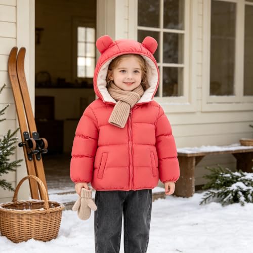Image of BFUSTYLE Baby Toddler Coats Boys Girls Bear Ear Hooded Puffer Jackets 6M-5T