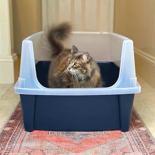 Fuente de agua y arenero para gato grande IRIS USA miniatura 6