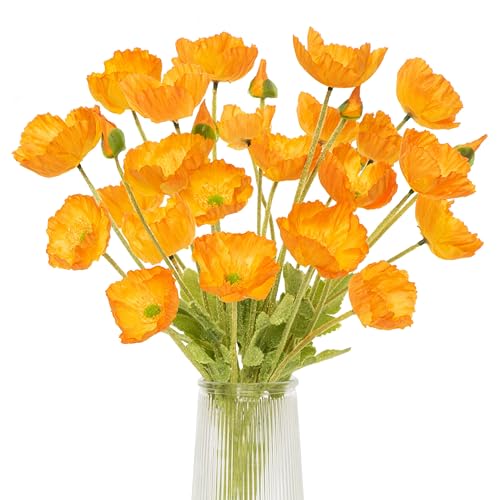 Glamrce Orange Poppies OROR8