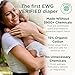 Our Diapers | EWG Verified Safe & Plant-Based Diapers | Leak Protection | Soft Organic Cotton Shell | Chlorine-Free Diaper for Sensitive Skin | Size 2 (12-18 lbs) 42 Count