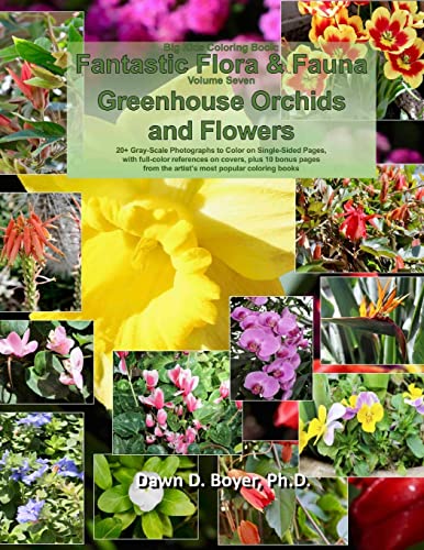 Big Kids Coloring Book: Fantastic Flora and Fauna: Volume Seven - Greenhouse Orchids and Flowers