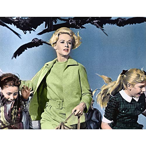 Les Oiseaux poster cinéma vintage pour salon style rétro avec affiche anglaise
