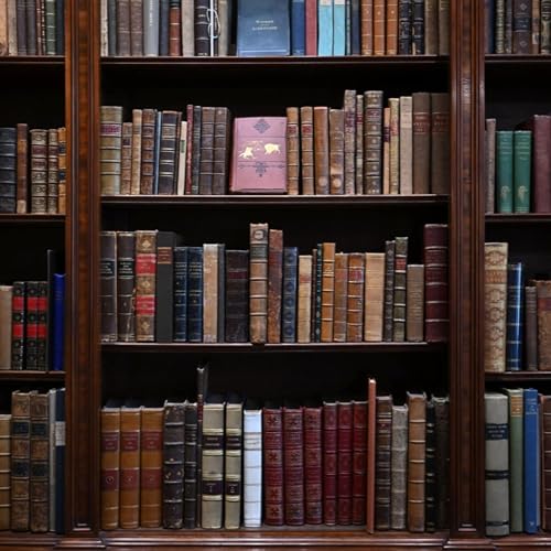 Book Club: Lenins Tomb cover art