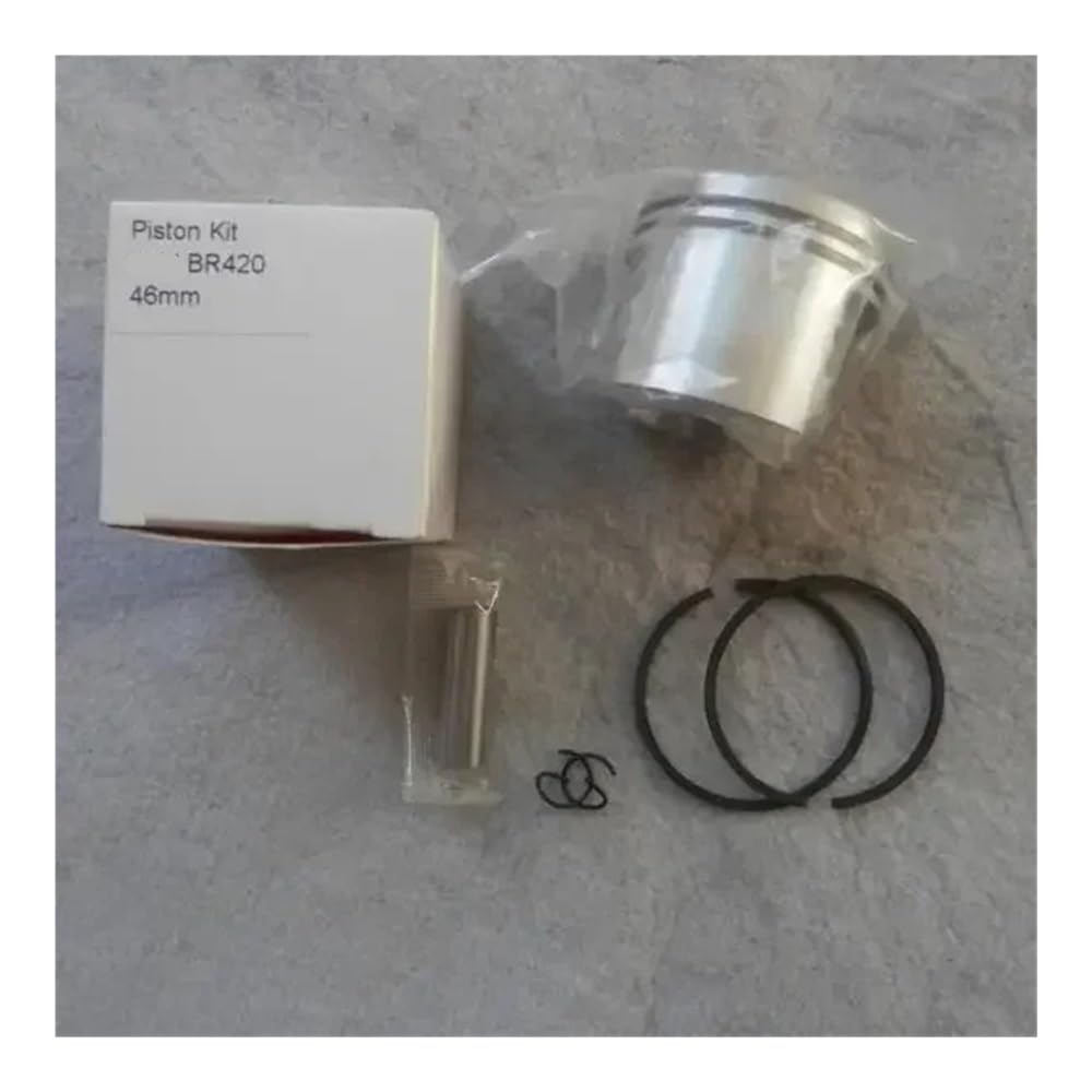 Kit Piston BR420 46 mm complet pour entretien et réfection de souffleur de feuilles BR400