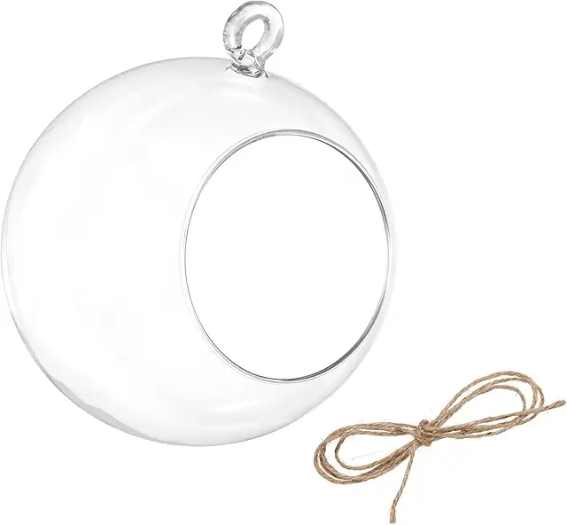 Round Glass Hanging Terrarium Planter for Succulents and Air Plants