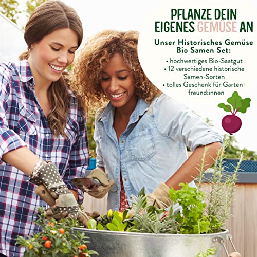 valeaf BIO Historisches Gemüse Samen Set I Seltene u. alte Gemüsesorten Samen im Gemüsesamen Set I Gemüse Anzuchtset I samenfestes Saatgut I Samen Gemüse als Gemüse Samen Set I tolles Garten Geschenk
