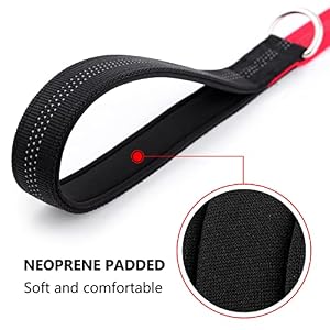Plutus Pet Double-Sided Reflective Nylon Dog Leash, Soft Padded Handle for Comfort, 6 FT/5 FT/4 FT Heavy Duty Dog Leash for Puppy Small and Medium dogs (Red, 1” X 4’) Plutus Pet Double-Sided Reflective Nylon Dog Leash, Soft Padded Handle for Comfort, 6 FT/5 FT/4 FT Heavy Duty Dog Leash for Puppy Small and Medium dogs (Red, 1” X 4’)