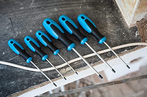 Image of Hazet 810T /6 Screwdriver Set Torx 6 Piece