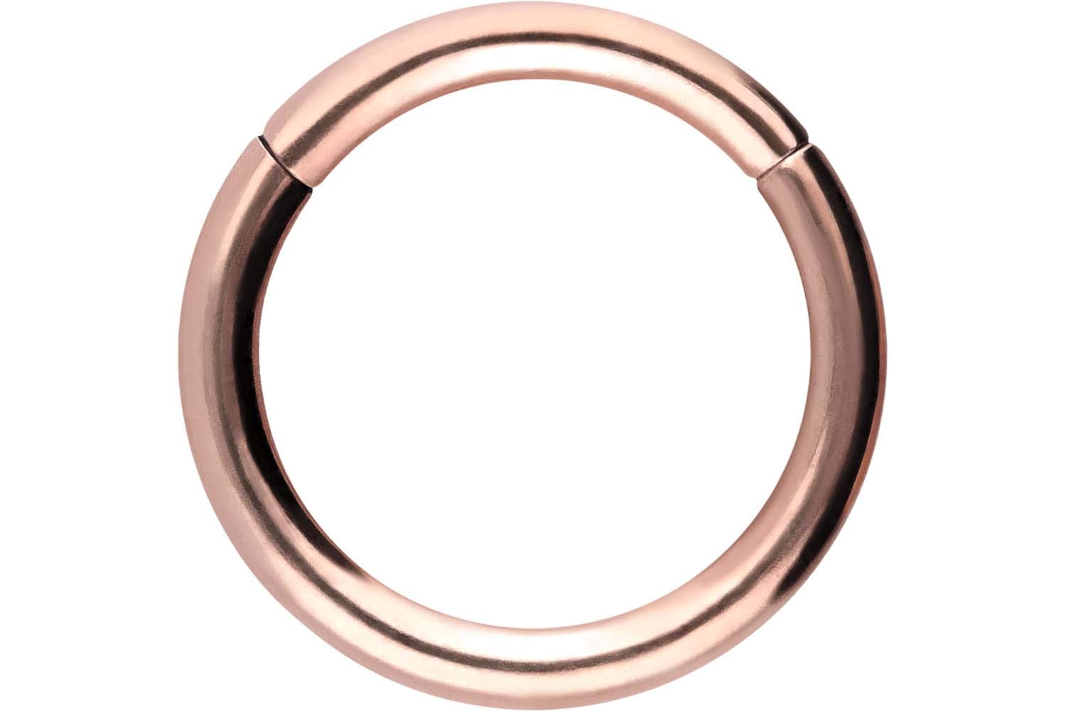 PIERCINGLINE Anillo segmento Clicker de acero quirúrgico – Piercing en oro, plata, rosa, negro o azul – para nariz, tabique, oreja, hélice o tragus — view 14