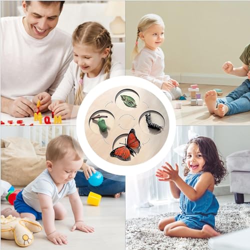 Cycle de vie du papillon puzzle éducatif pour comprendre les sciences sans écran