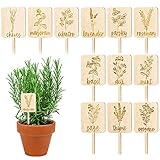 Whaline 24Pcs Wooden Plant Labels Sign Planted Herb Markers Garden Labels with Printed Herb Name Indoor Outdoor Garden Stakes Nursery Plant Tags Gardens Decoration Gift, 12 Styles