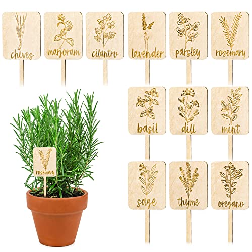 Whaline 24Pcs Wooden Plant Labels Sign Planted Herb Markers Garden Labels with Printed Herb Name Indoor Outdoor Garden Stakes Nursery Plant Tags Gardens Decoration Gift, 12 Styles