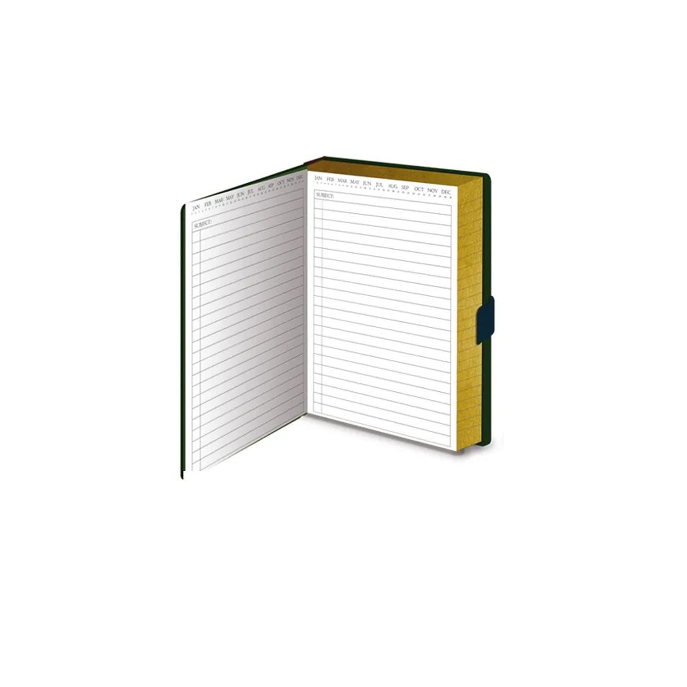 Pyramid International Harry Potter (Alohomora) A5 Lockable Undated