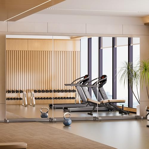 Smart mirror fitness system